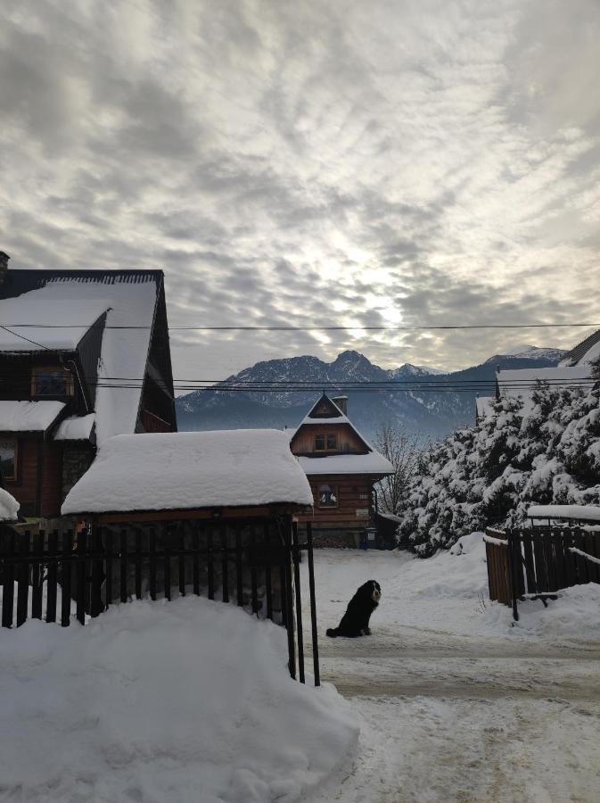 Apartment - Wymarzone Widoki Zakopane
