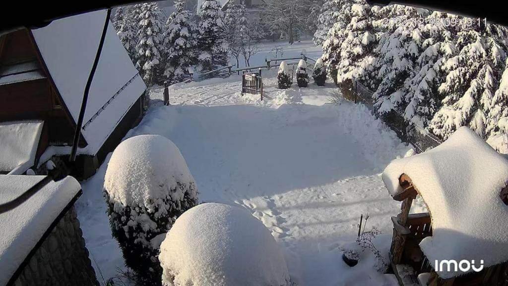 - Wymarzone Widoki * Zakopane